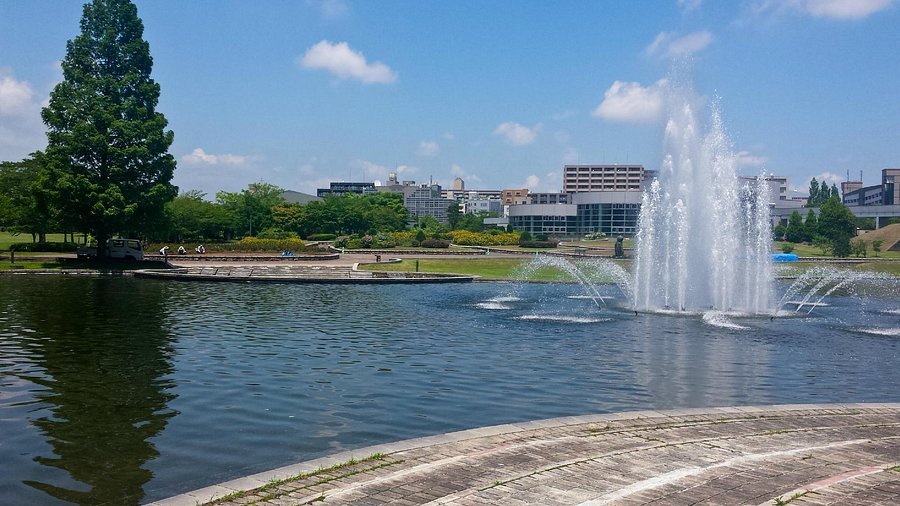 🌳 야마이치 사스테나파크 나나키타 공원 이미지 1